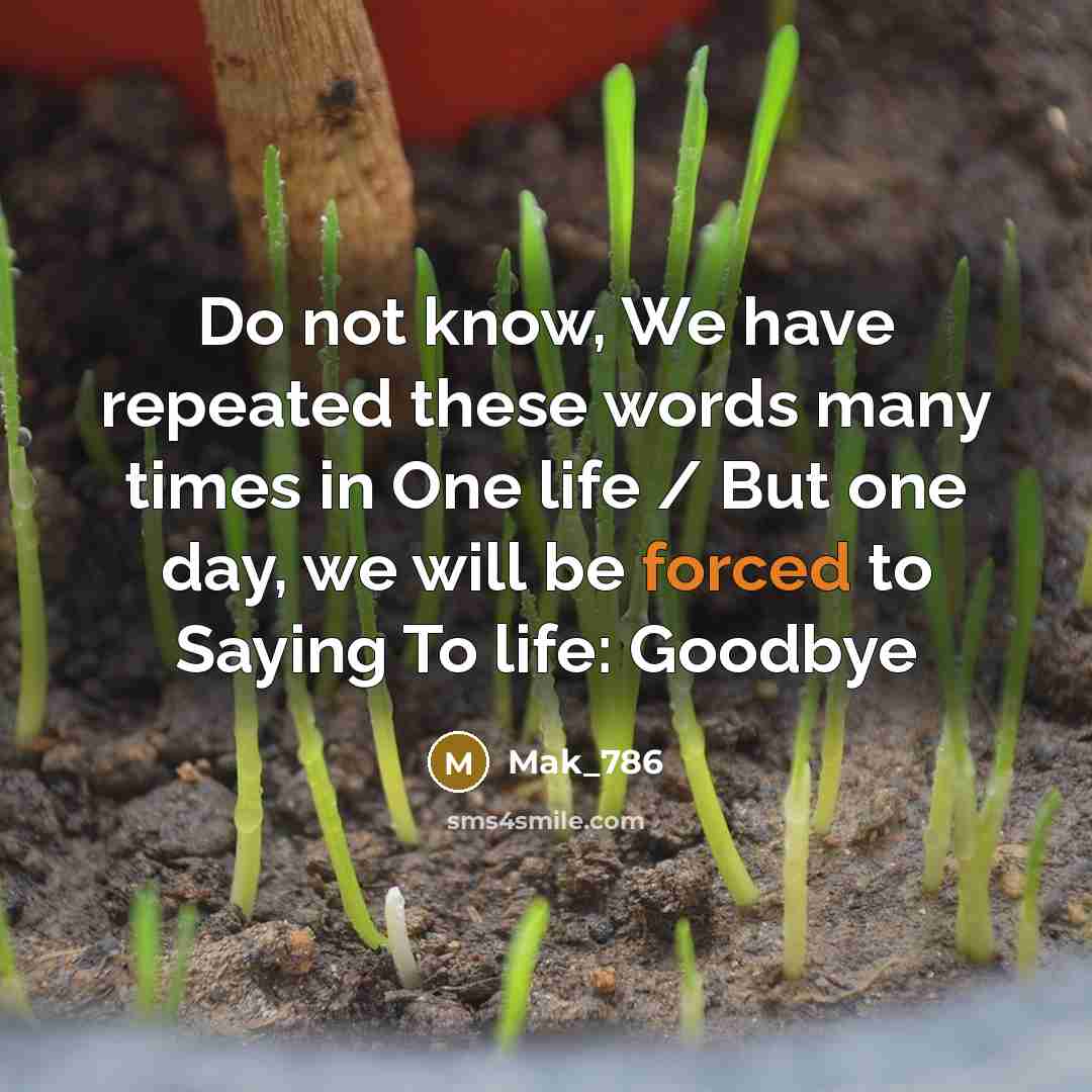“Do not know, We have repeated these words many times in One life / But one day, we will be forced to Saying To life: Goodbye” quote by Mak_786