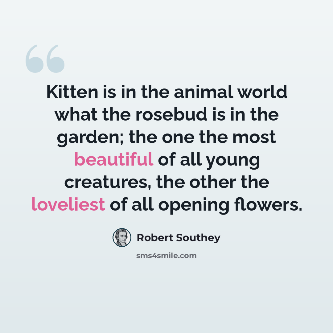 “Kitten is in the animal world what the rosebud is in the garden; the one the most beautiful of all young creatures, the other the loveliest of all opening flowers.” quote by Robert Southey