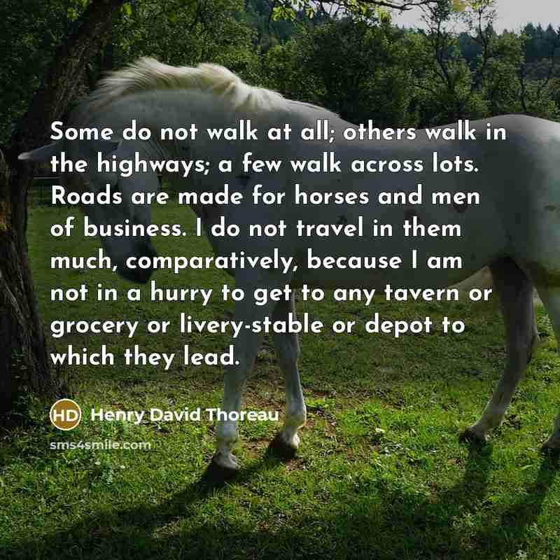 “Some do not walk at all; others walk in the highways; a few walk across lots. Roads are made for horses and men of business. I do not travel in them much, comparatively, because I am not in a hurry to get to any tavern or grocery or livery-stable or depot to which they lead.” quote by Henry David Thoreau