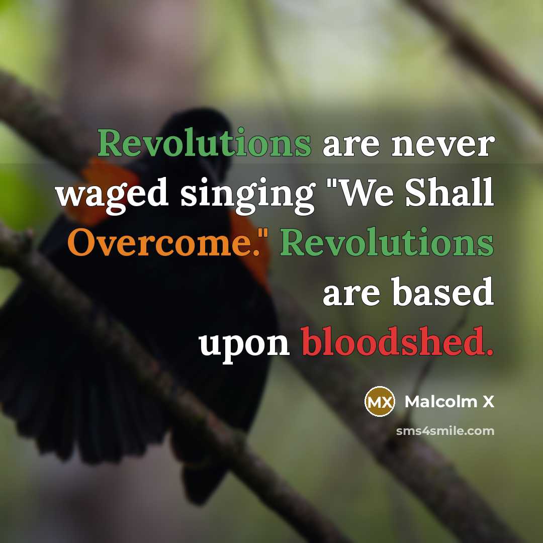 “Revolutions are never waged singing "We Shall Overcome." Revolutions are based upon bloodshed.” quote by Malcolm X