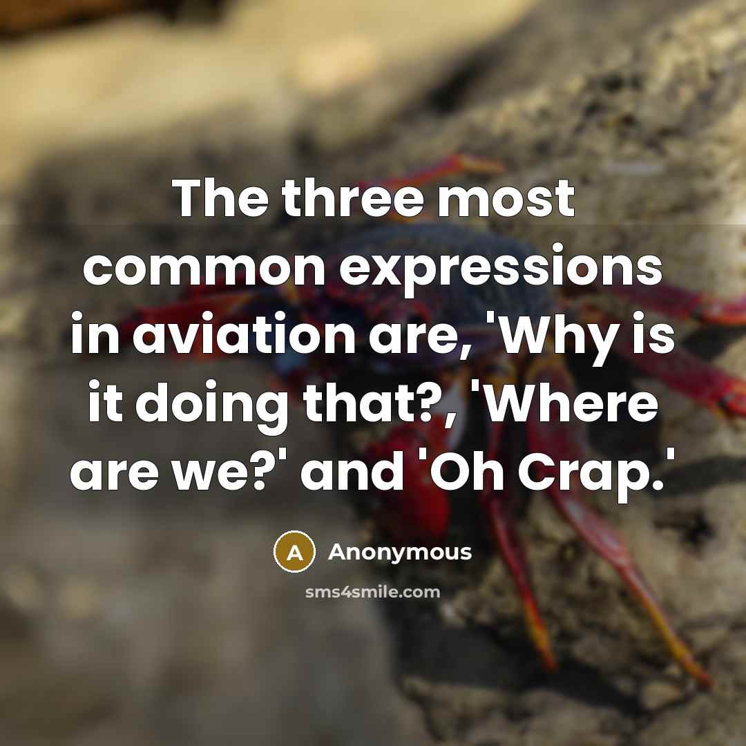 “The three most common expressions in aviation are, 'Why is it doing that?, 'Where are we?' and 'Oh Crap.'” quote by Anonymous