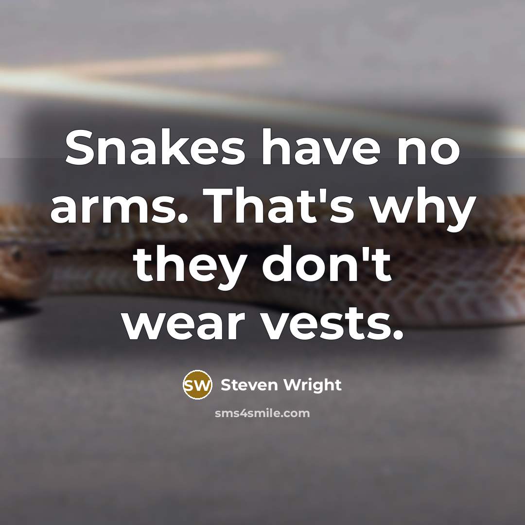 “Snakes have no arms. That's why they don't wear vests.” quote by Steven Wright