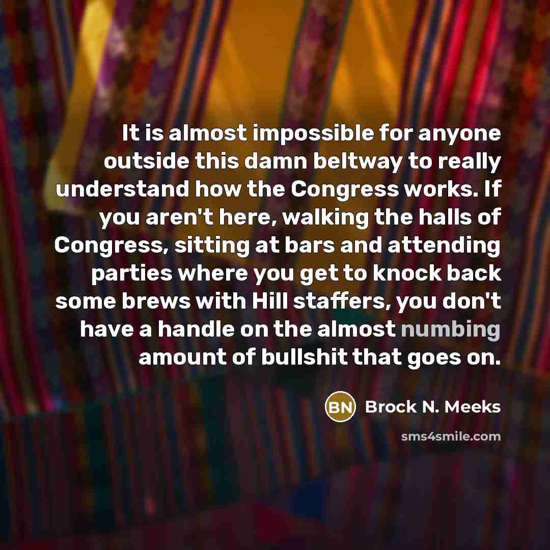 “It is almost impossible for anyone outside this damn beltway to really understand how the Congress works. If you aren't here, walking the halls of Congress, sitting at bars and attending parties where you get to knock back some brews with Hill staffers, you don't have a handle on the almost…” quote by Brock N. Meeks