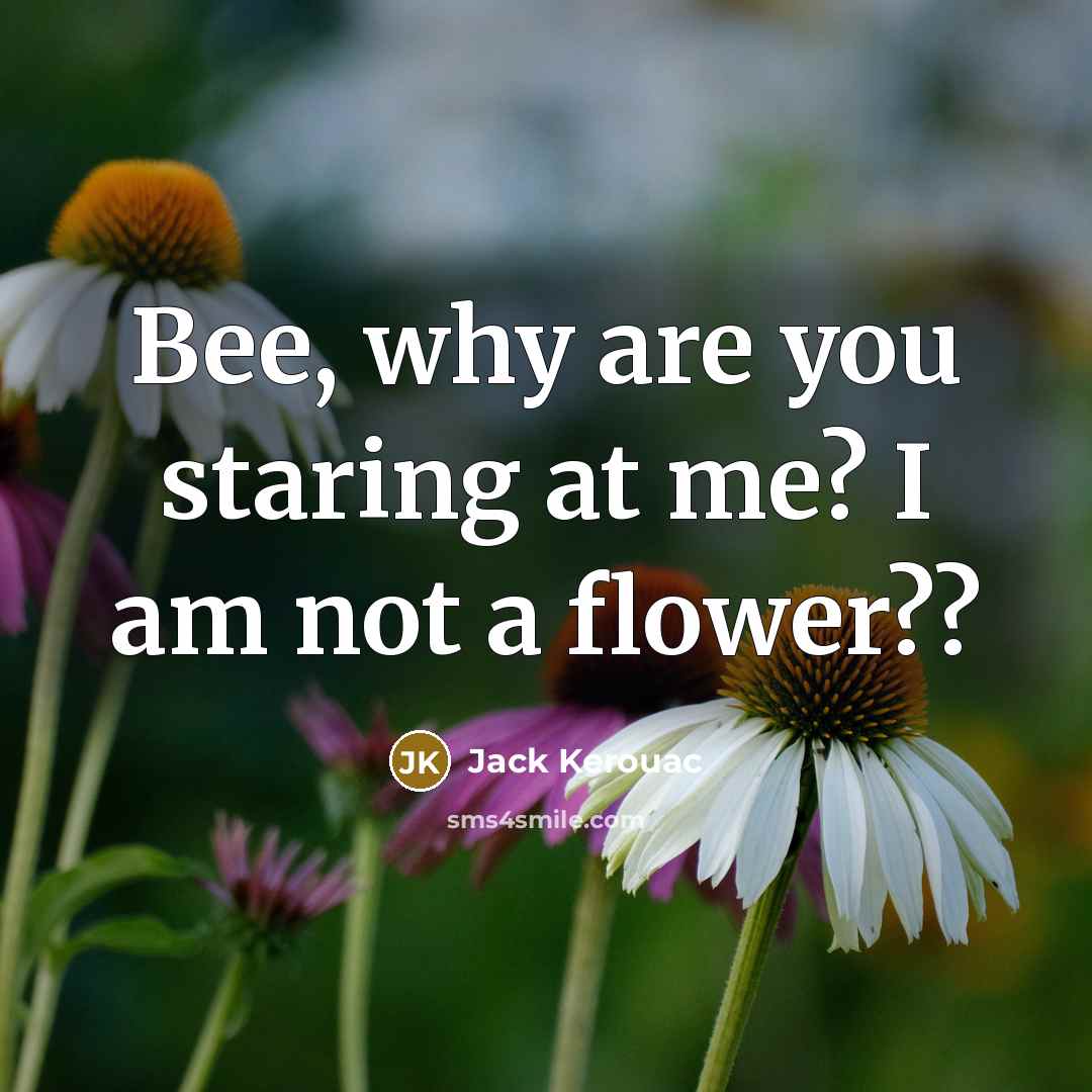“Bee, why are you staring at me? I am not a flower??” quote by Jack Kerouac