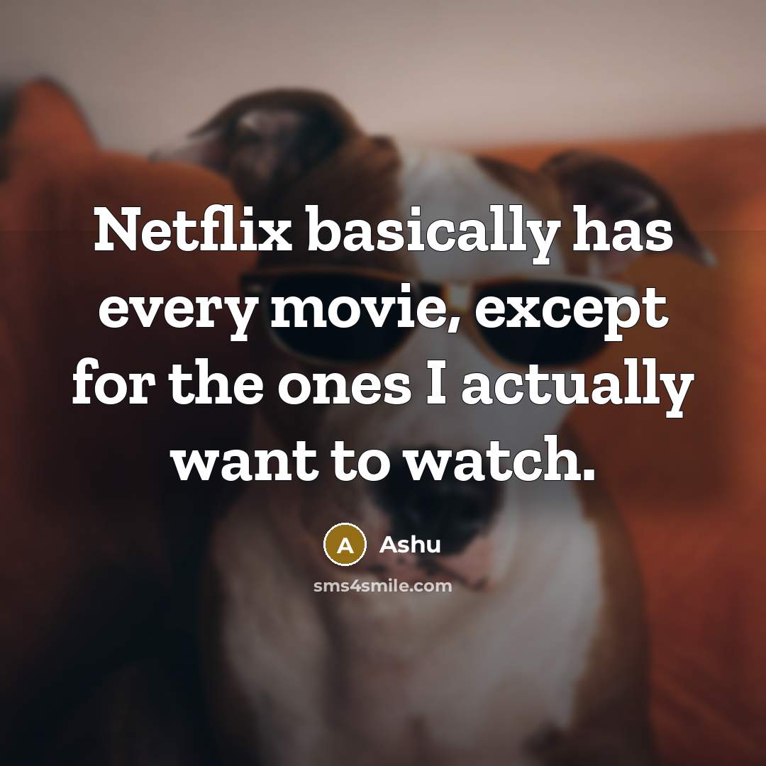 “Netflix basically has every movie, except for the ones I actually want to watch.” quote by Ashu