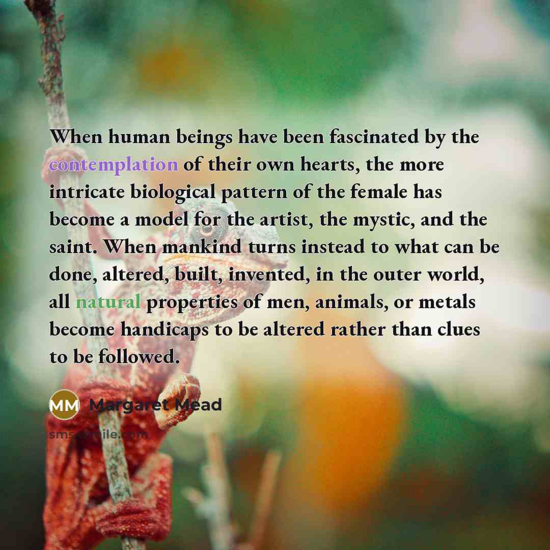 “When human beings have been fascinated by the contemplation of their own hearts, the more intricate biological pattern of the female has become a model for the artist, the mystic, and the saint. When mankind turns instead to what can be done, altered, built, invented, in the outer world, all…” quote by Margaret Mead