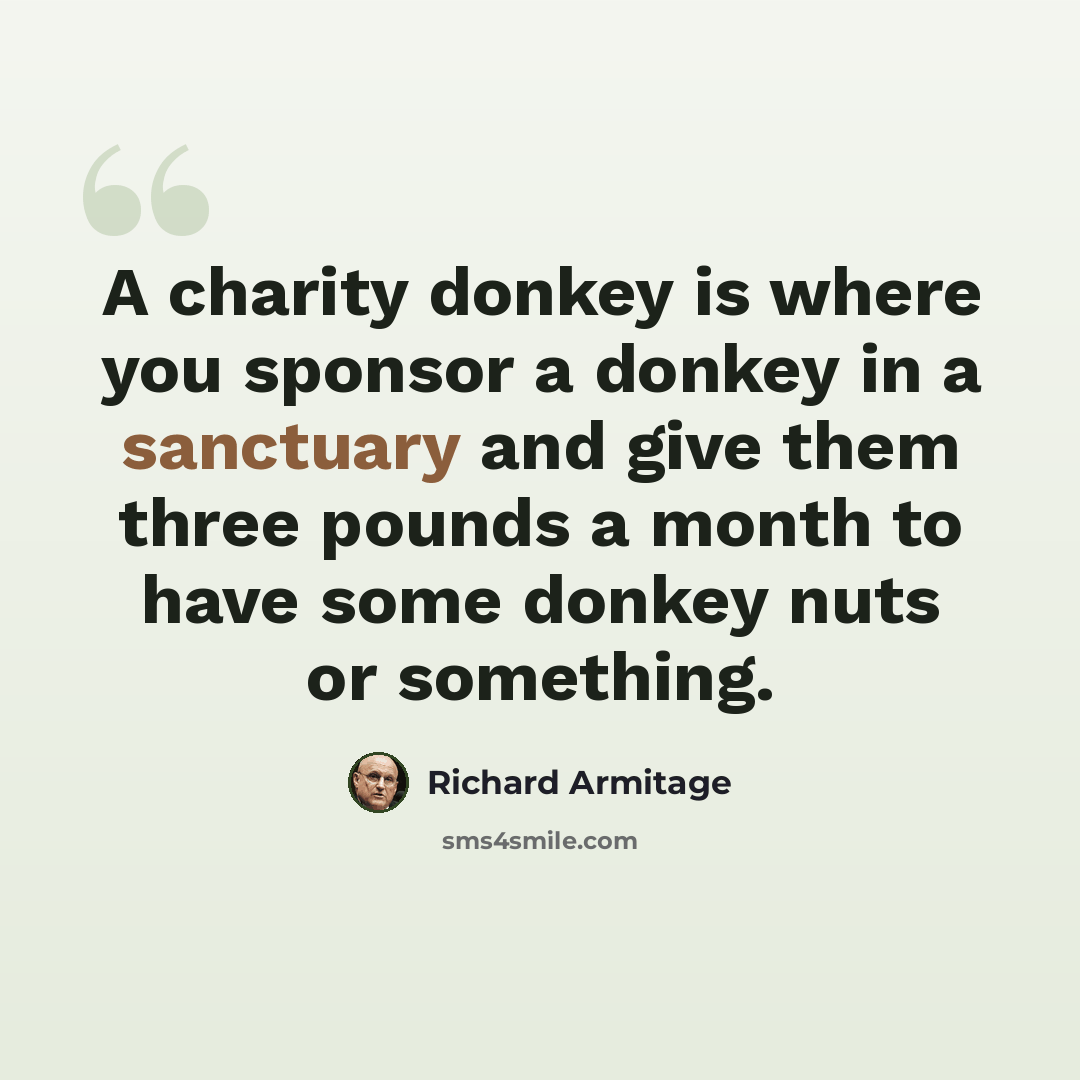 “A charity donkey is where you sponsor a donkey in a sanctuary and give them three pounds a month to have some donkey nuts or something.” quote by Richard Armitage