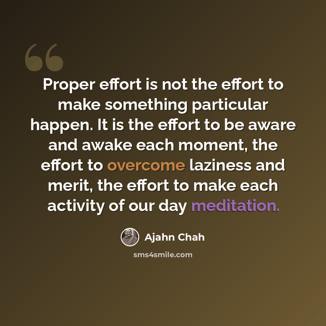 “Proper effort is not the effort to make something particular happen. It is the effort to be aware and awake each moment, the effort to overcome laziness and merit, the effort to make each activity of our day meditation.” quote by Ajahn Chah