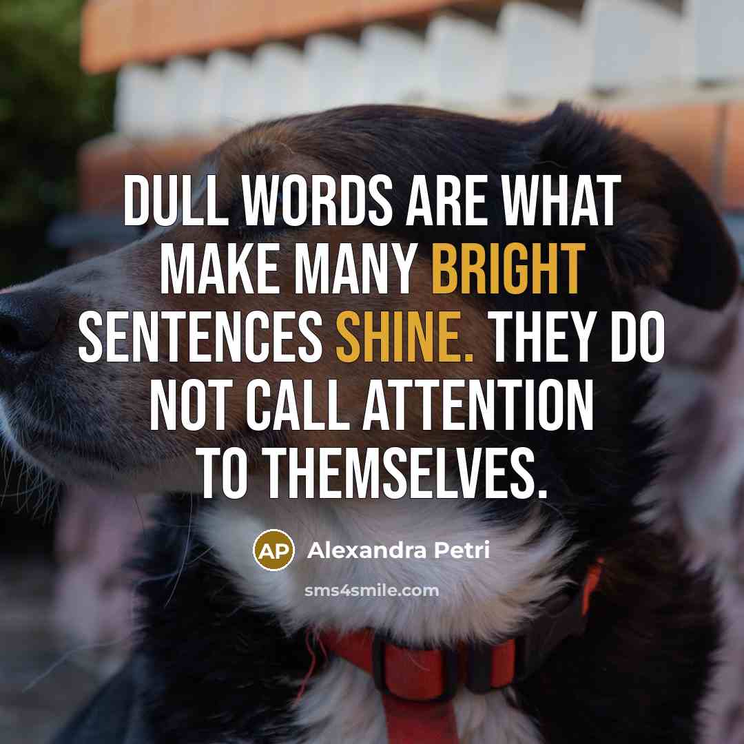 “Dull words are what make many bright sentences shine. They do not call attention to themselves.” quote by Alexandra Petri