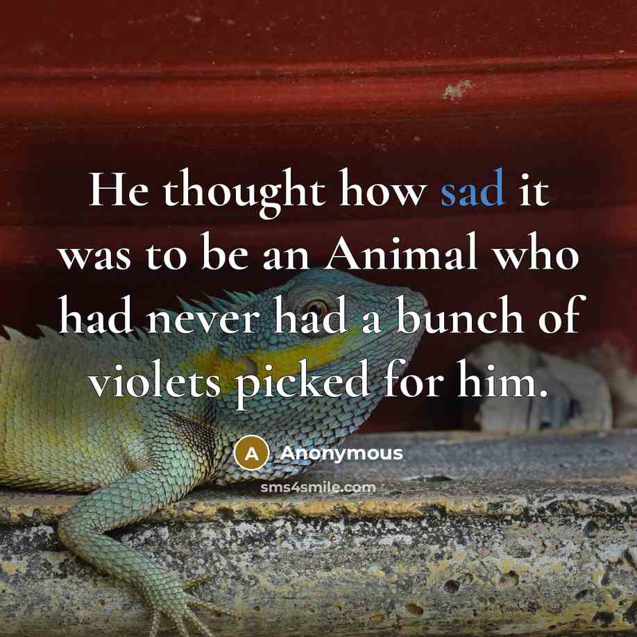 “He thought how sad it was to be an Animal who had never had a bunch of violets picked for him.” quote by Anonymous