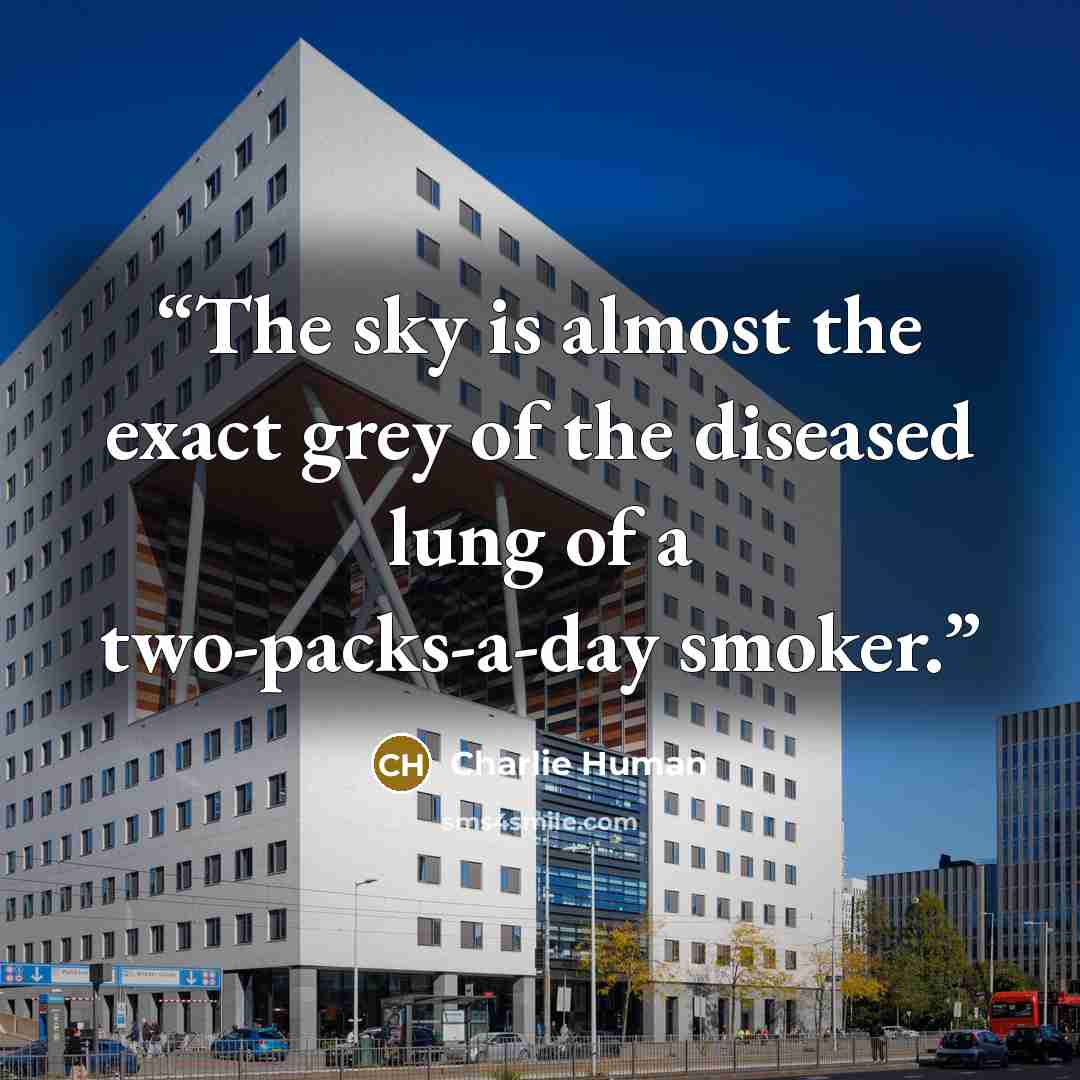 “The sky is almost the exact grey of the diseased lung of a two-packs-a-day smoker.” quote by Charlie Human