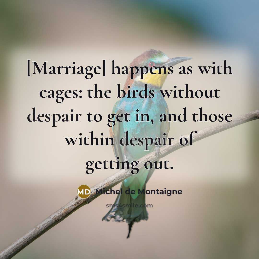“[Marriage] happens as with cages: the birds without despair to get in, and those within despair of getting out.” quote by Michel de Montaigne