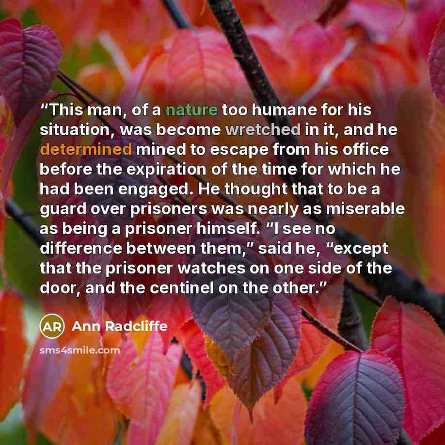 “This man, of a nature too humane for his situation, was become wretched in it, and he determined mined to escape from his office before the expiration of the time for which he had been engaged. He thought that to be a guard over prisoners was nearly as miserable as being a prisoner himself. “I see…” quote by Ann Radcliffe