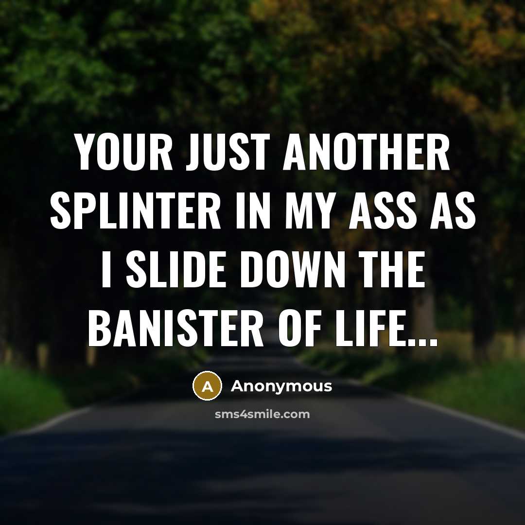 “Your Just Another Splinter in My Ass as I Slide Down The Banister of Life...” quote by Anonymous