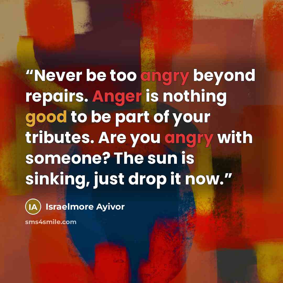 “Never be too angry beyond repairs. Anger is nothing good to be part of your tributes. Are you angry with someone? The sun is sinking, just drop it now.” quote by Israelmore Ayivor