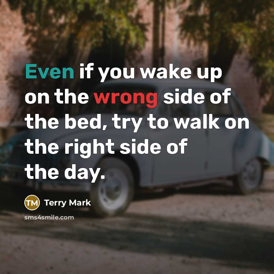 “Even if you wake up on the wrong side of the bed, try to walk on the right side of the day.” quote by Terry Mark