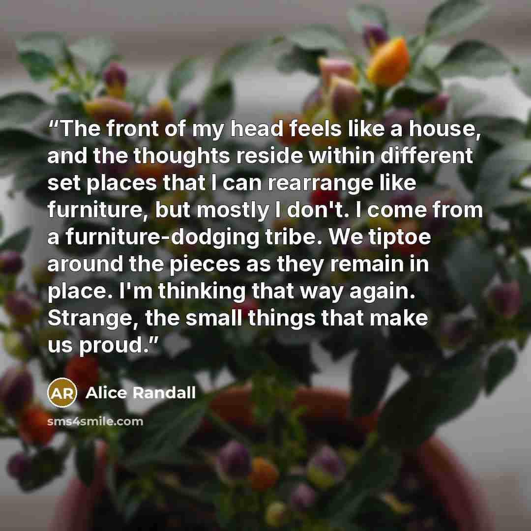 “The front of my head feels like a house, and the thoughts reside within different set places that I can rearrange like furniture, but mostly I don't. I come from a furniture-dodging tribe. We tiptoe around the pieces as they remain in place. I'm thinking that way again. Strange, the small things…” quote by Alice Randall