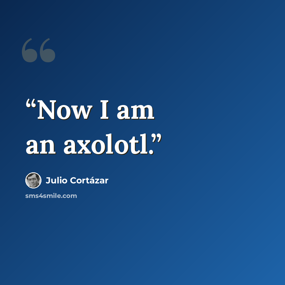 “Now I am an axolotl.” quote by Julio Cortazar
