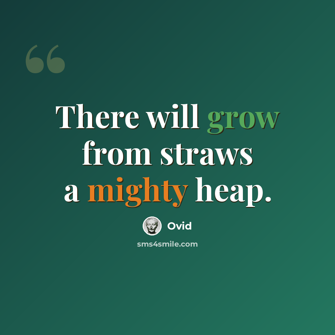 “There will grow from straws a mighty heap.” quote by Ovid