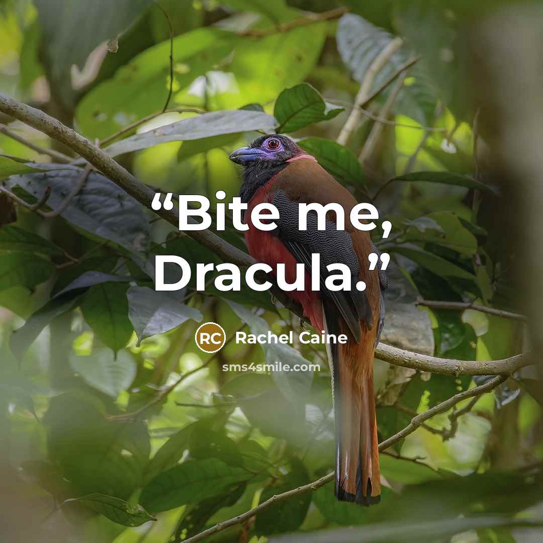 “Bite me, Dracula.” quote by Rachel Caine