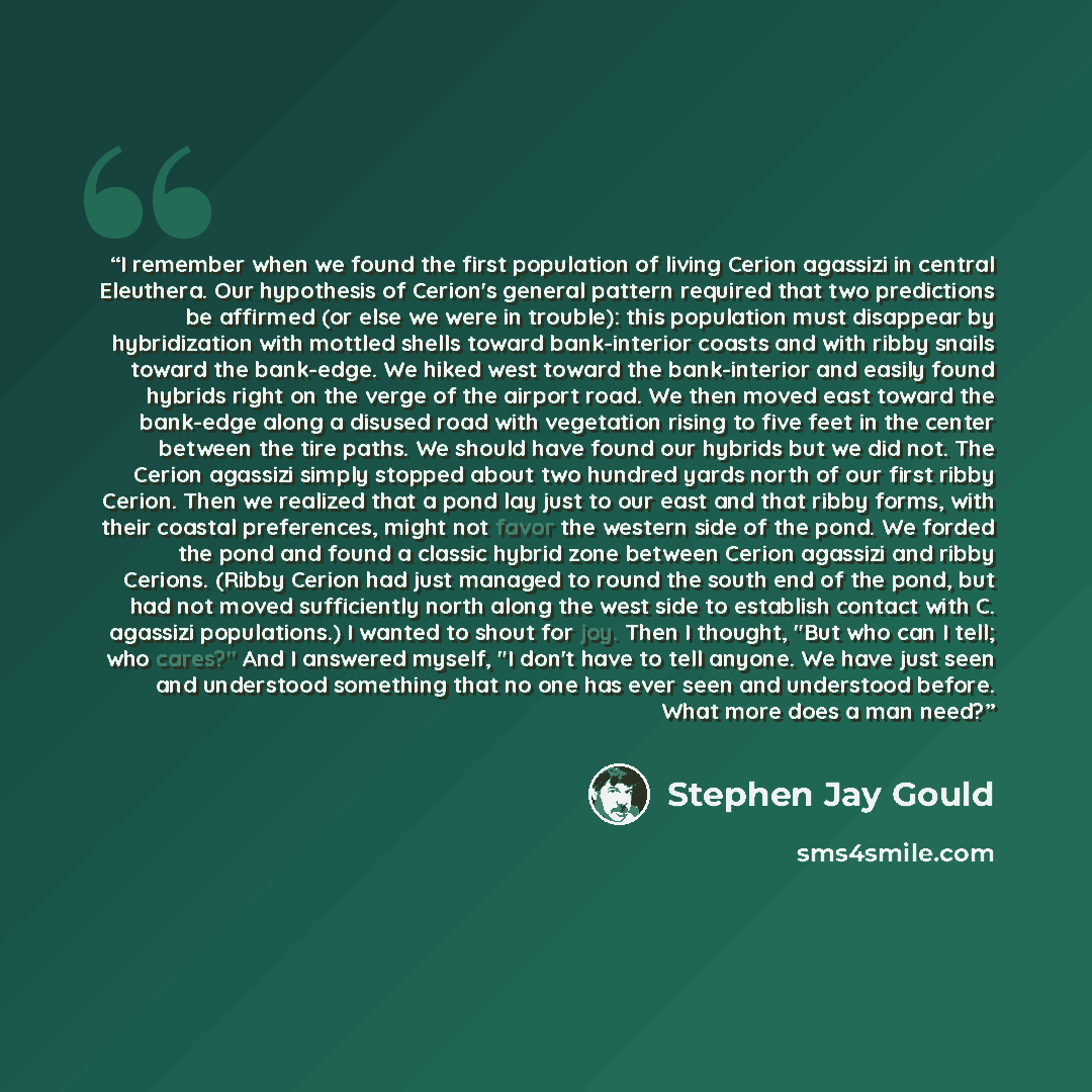 “I remember when we found the first population of living Cerion agassizi in central Eleuthera. Our hypothesis of Cerion's general pattern required that two predictions be affirmed (or else we were in trouble): this population must disappear by hybridization with mottled shells toward bank-interior…” quote by Stephen Jay Gould