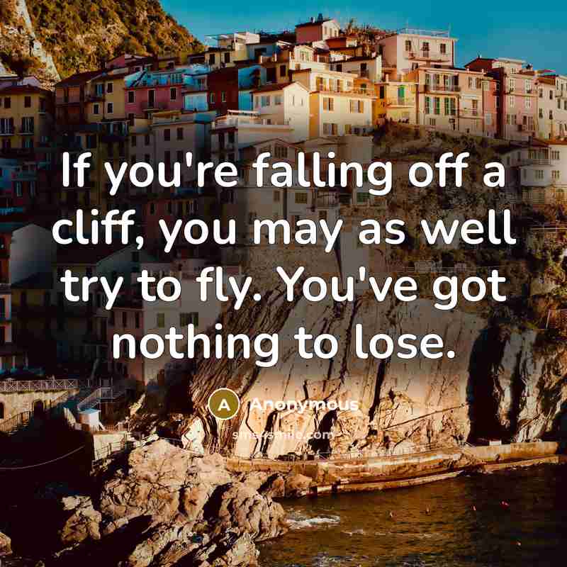 “If you're falling off a cliff, you may as well try to fly. You've got nothing to lose.” quote by Anonymous