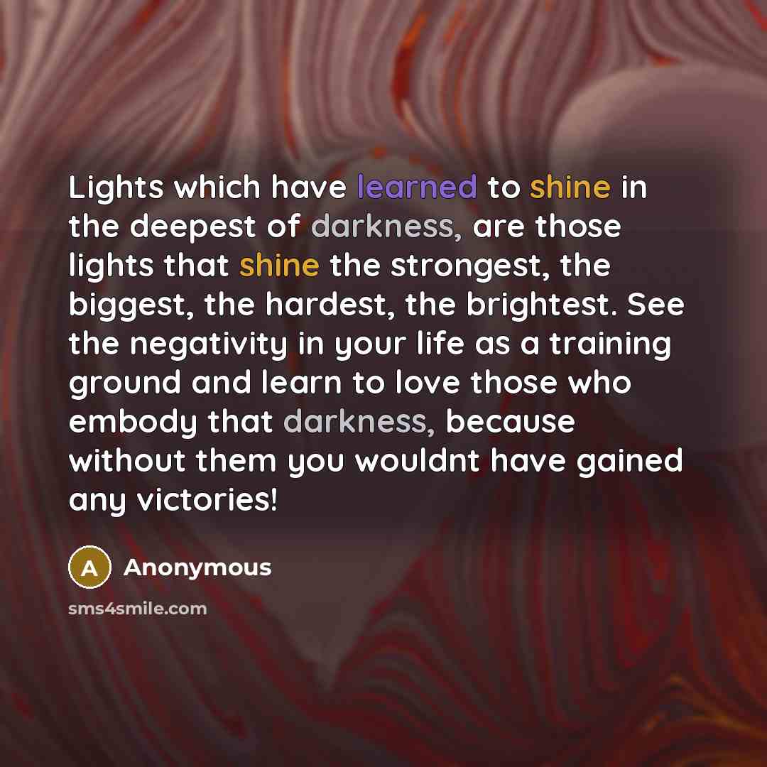 “Lights which have learned to shine in the deepest of darkness, are those lights that shine the strongest, the biggest, the hardest, the brightest. See the negativity in your life as a training ground and learn to love those who embody that darkness, because without them you wouldnt have gained any…” quote by Anonymous