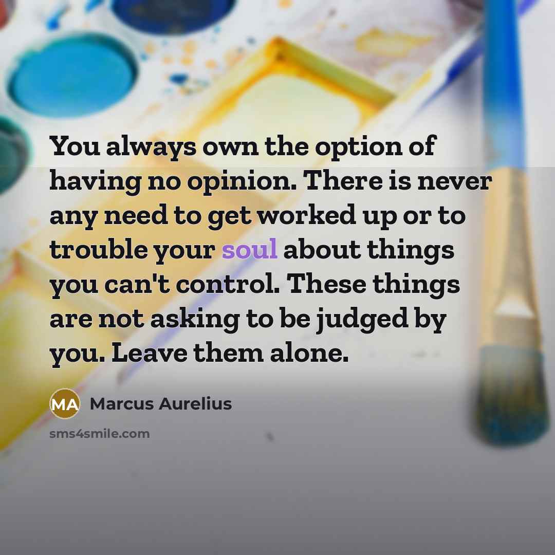 “You always own the option of having no opinion. There is never any need to get worked up or to trouble your soul about things you can't control. These things are not asking to be judged by you. Leave them alone.” quote by Marcus Aurelius