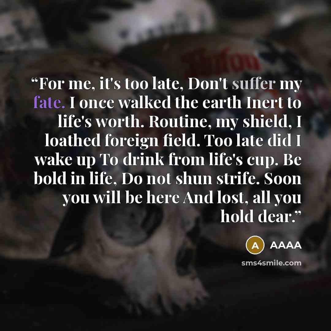 “For me, it's too late, Don't suffer my fate. I once walked the earth Inert to life's worth. Routine, my shield, I loathed foreign field. Too late did I wake up To drink from life's cup. Be bold in life, Do not shun strife. Soon you will be here And lost, all you hold dear.” quote by AAAA