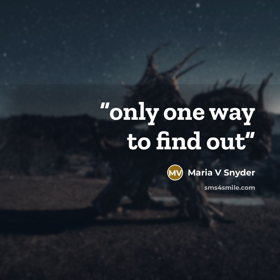 “only one way to find out” quote by maria v snyder