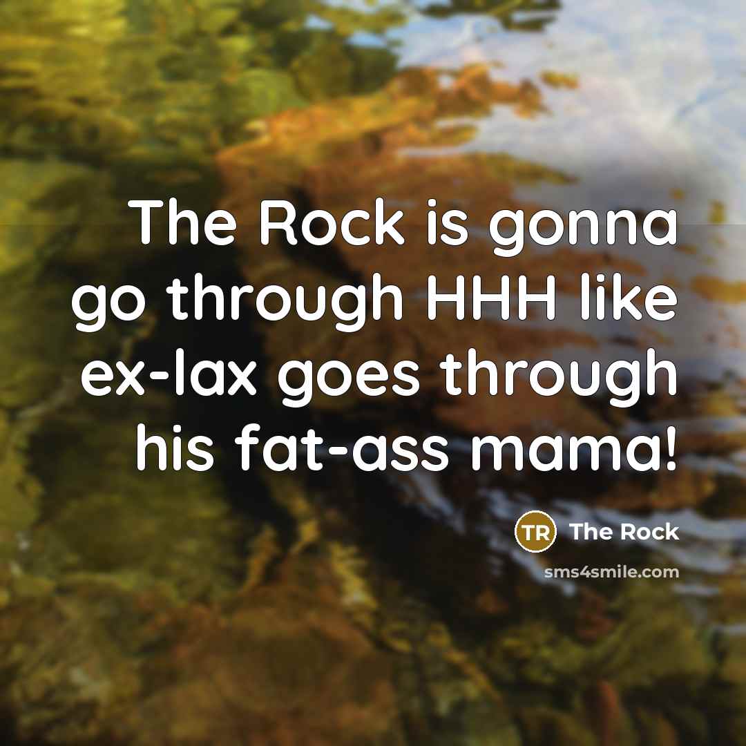 “The Rock is gonna go through HHH like ex-lax goes through his fat-ass mama!” quote by The Rock