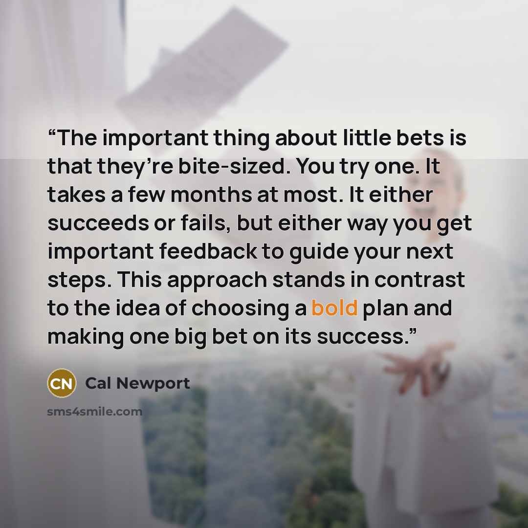 “The important thing about little bets is that they’re bite-sized. You try one. It takes a few months at most. It either succeeds or fails, but either way you get important feedback to guide your next steps. This approach stands in contrast to the idea of choosing a bold plan and making one big bet…” quote by Cal Newport