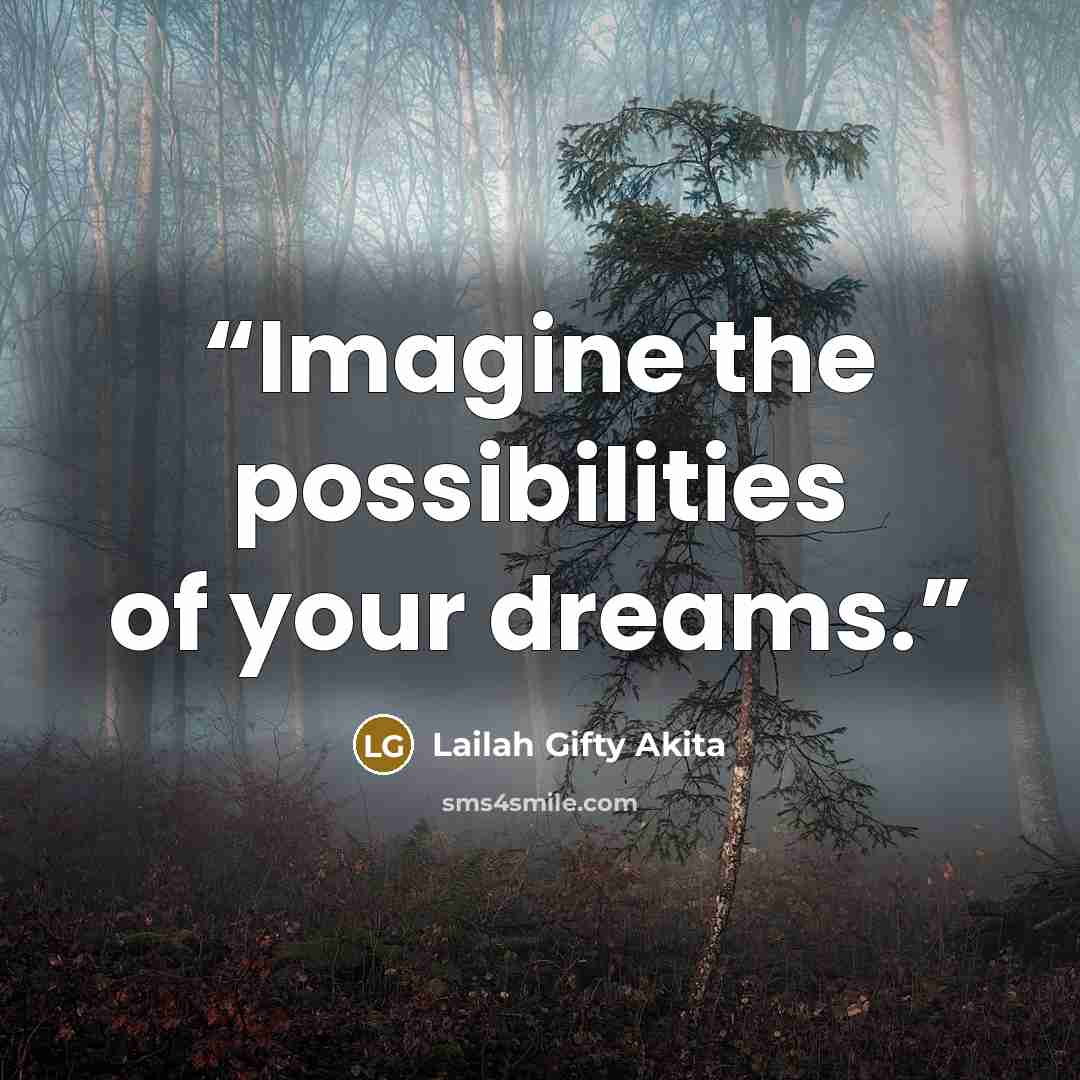“Imagine the possibilities of your dreams.” quote by Lailah Gifty Akita