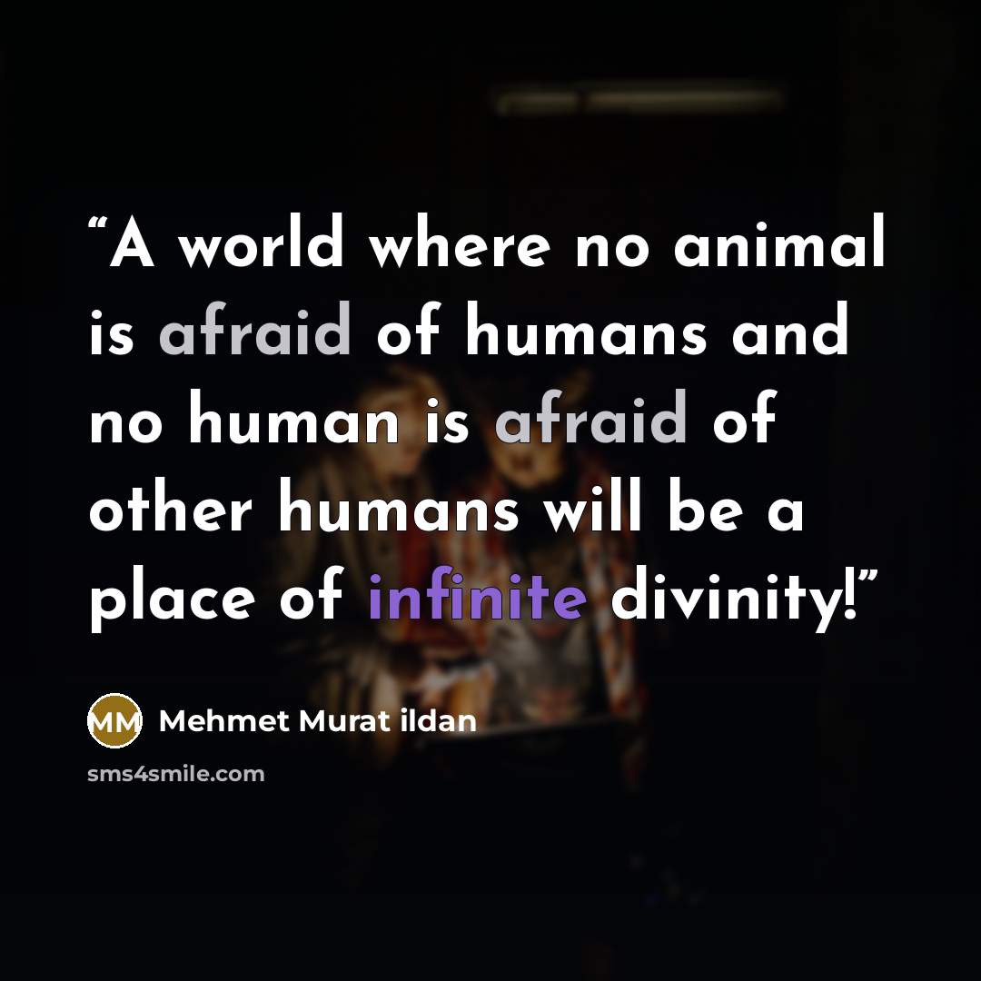 “A world where no animal is afraid of humans and no human is afraid of other humans will be a place of infinite divinity!” quote by Mehmet Murat ildan