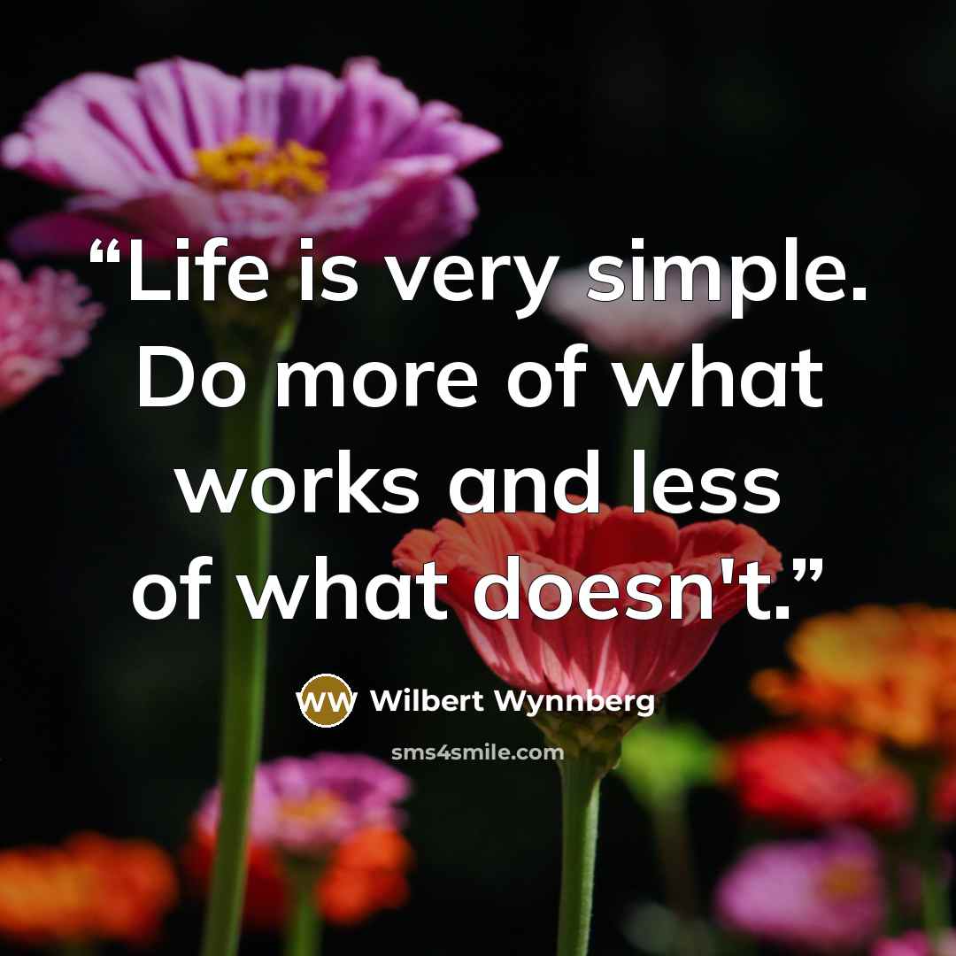 “Life is very simple. Do more of what works and less of what doesn't.” quote by Wilbert Wynnberg