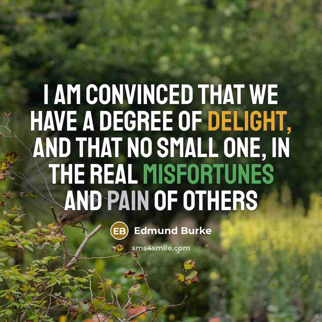 “I am convinced that we have a degree of delight, and that no small one, in the real misfortunes and pain of others” quote by Edmund Burke