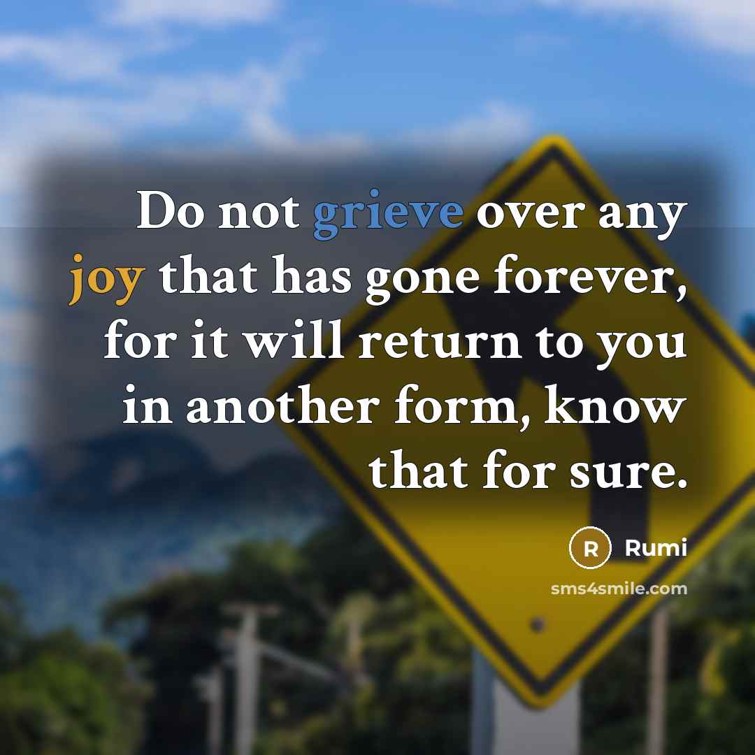 “Do not grieve over any joy that has gone forever, for it will return to you in another form, know that for sure.” quote by Rumi