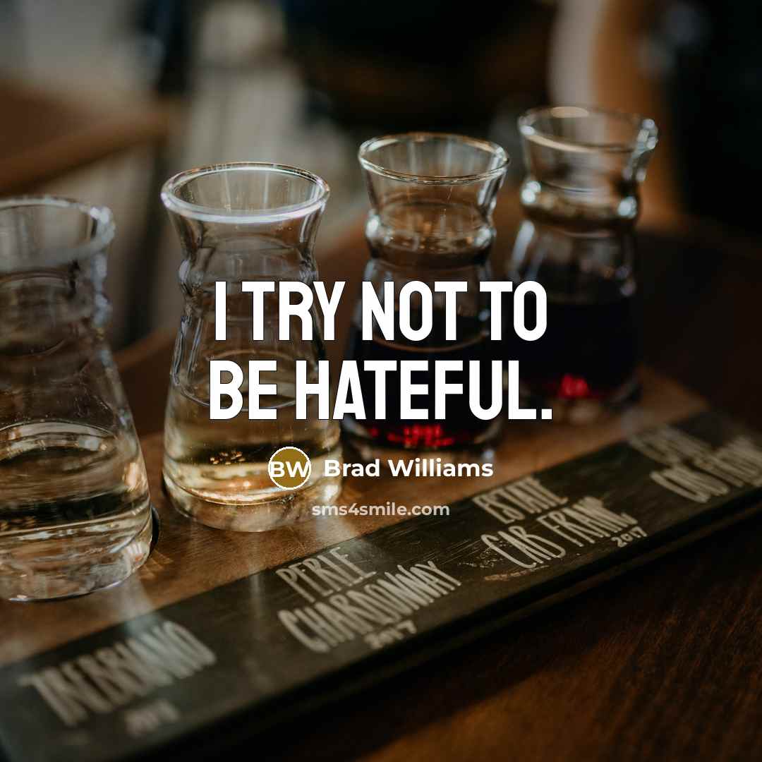 “I try not to be hateful.” quote by Brad Williams