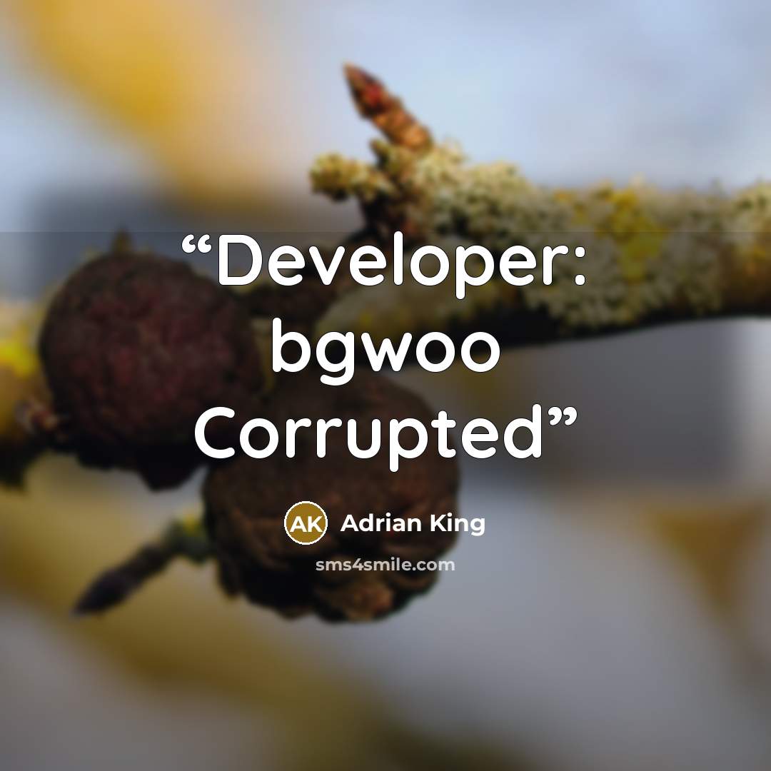 “Developer: bgwoo Corrupted” quote by Adrian King