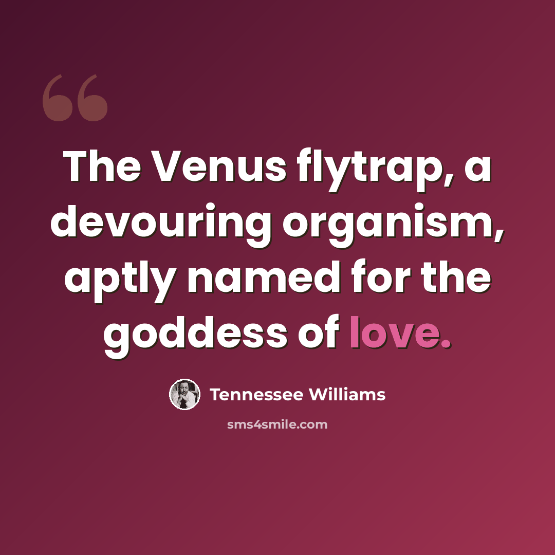 “The Venus flytrap, a devouring organism, aptly named for the goddess of love.” quote by Tennessee Williams