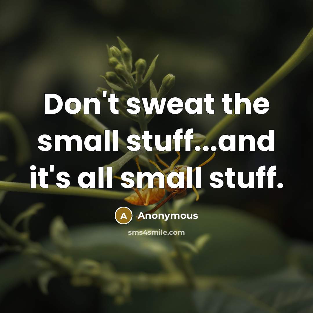 “Don't sweat the small stuff...and it's all small stuff.” quote by Anonymous