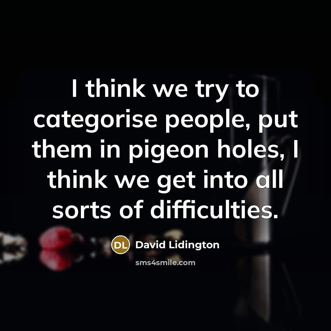 “I think we try to categorise people, put them in pigeon holes, I think we get into all sorts of difficulties.” quote by David Lidington