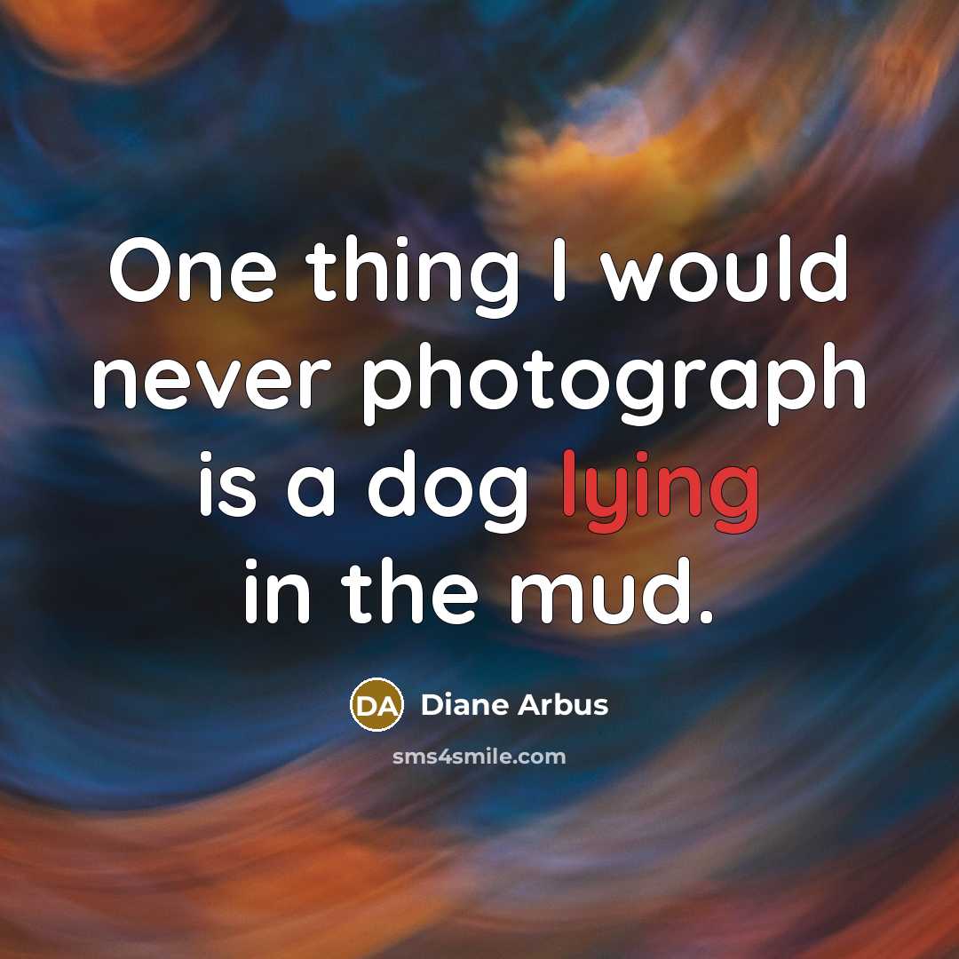 “One thing I would never photograph is a dog lying in the mud.” quote by Diane Arbus