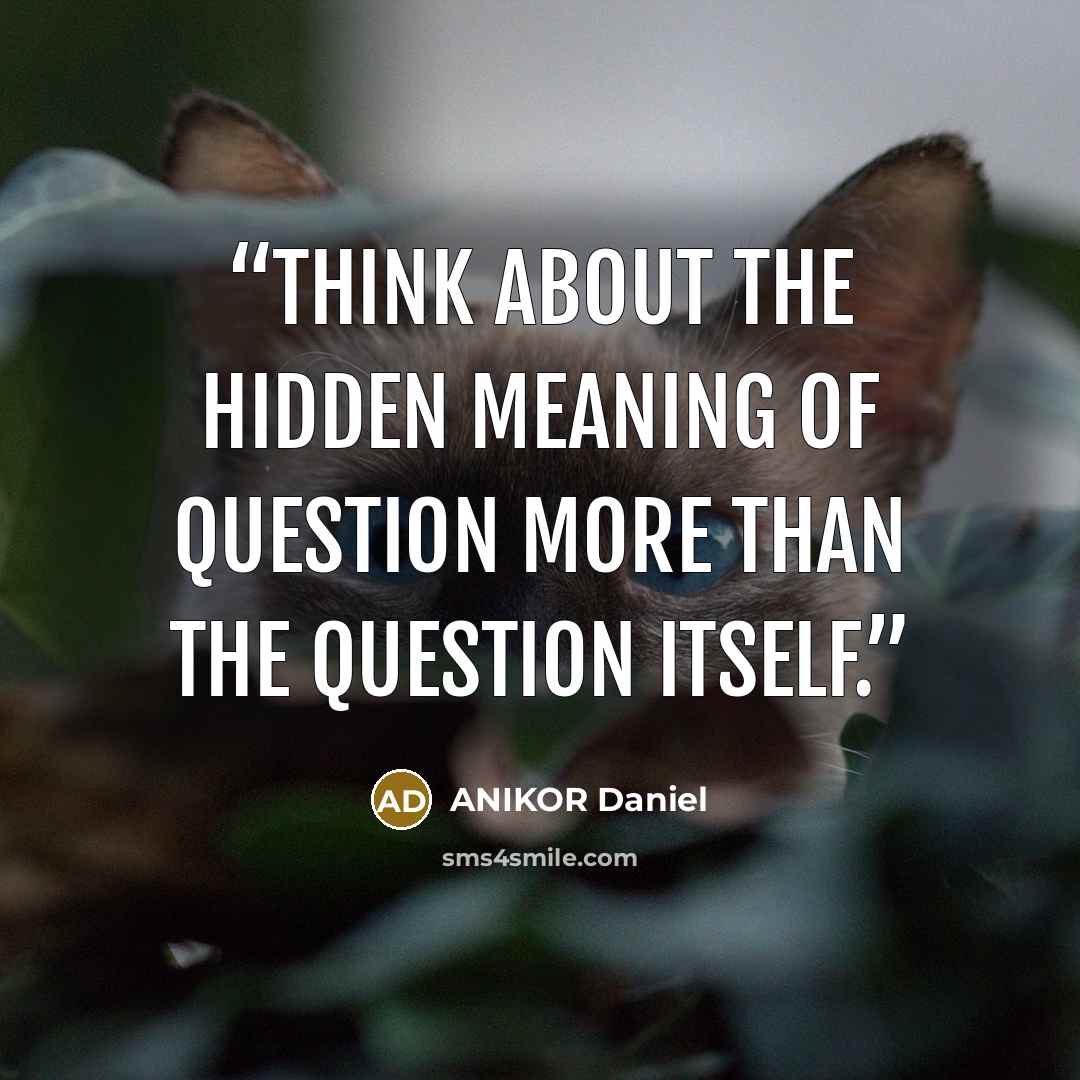 “Think about the hidden meaning of question more than the question itself.” quote by ANIKOR Daniel