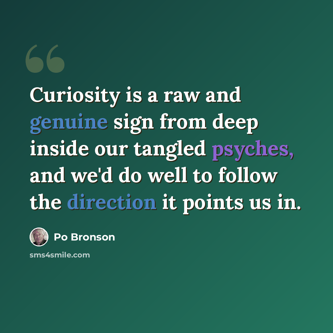 “Curiosity is a raw and genuine sign from deep inside our tangled psyches, and we'd do well to follow the direction it points us in.” quote by Po Bronson