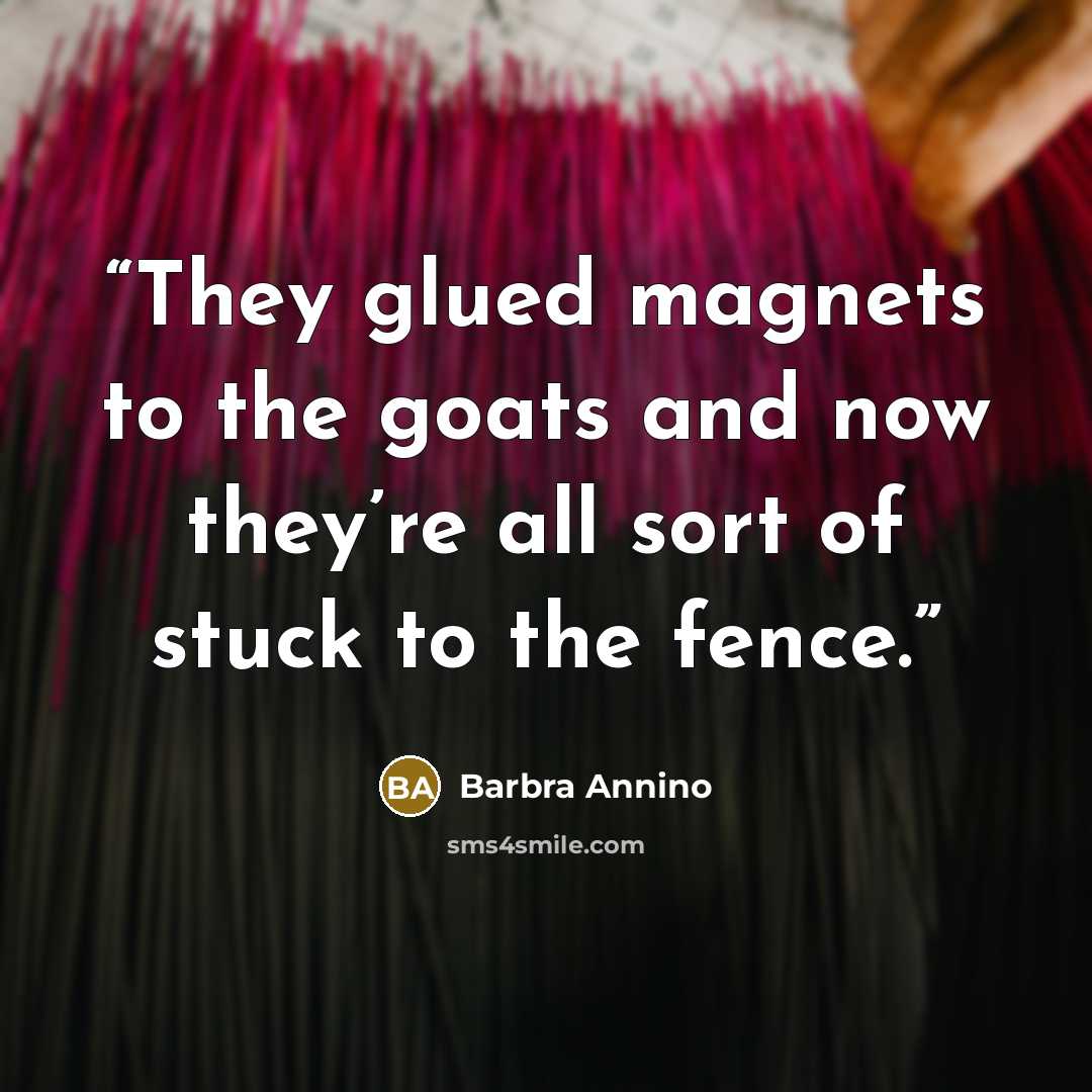 “They glued magnets to the goats and now they’re all sort of stuck to the fence.” quote by Barbra Annino