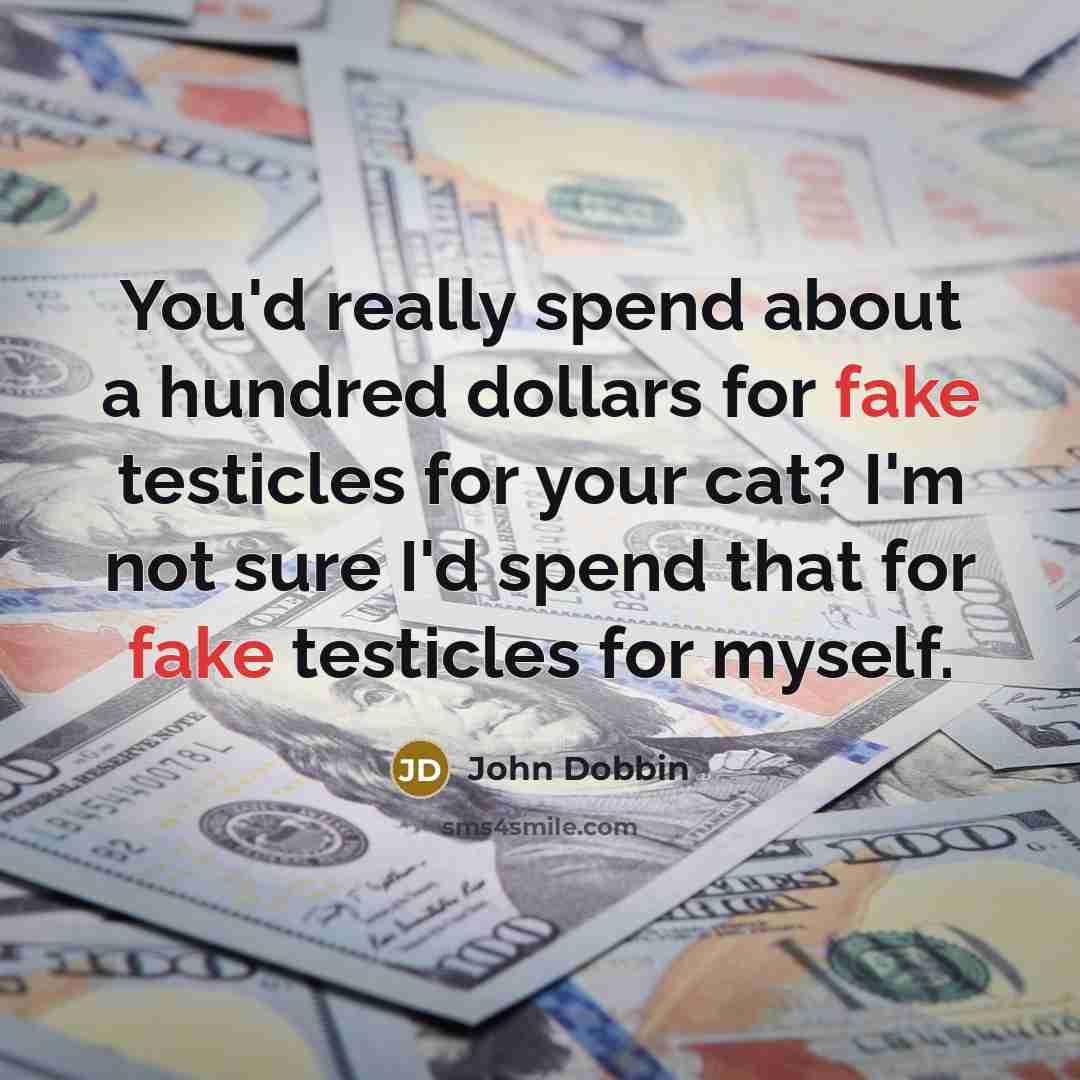 “You'd really spend about a hundred dollars for fake testicles for your cat? I'm not sure I'd spend that for fake testicles for myself.” quote by John Dobbin