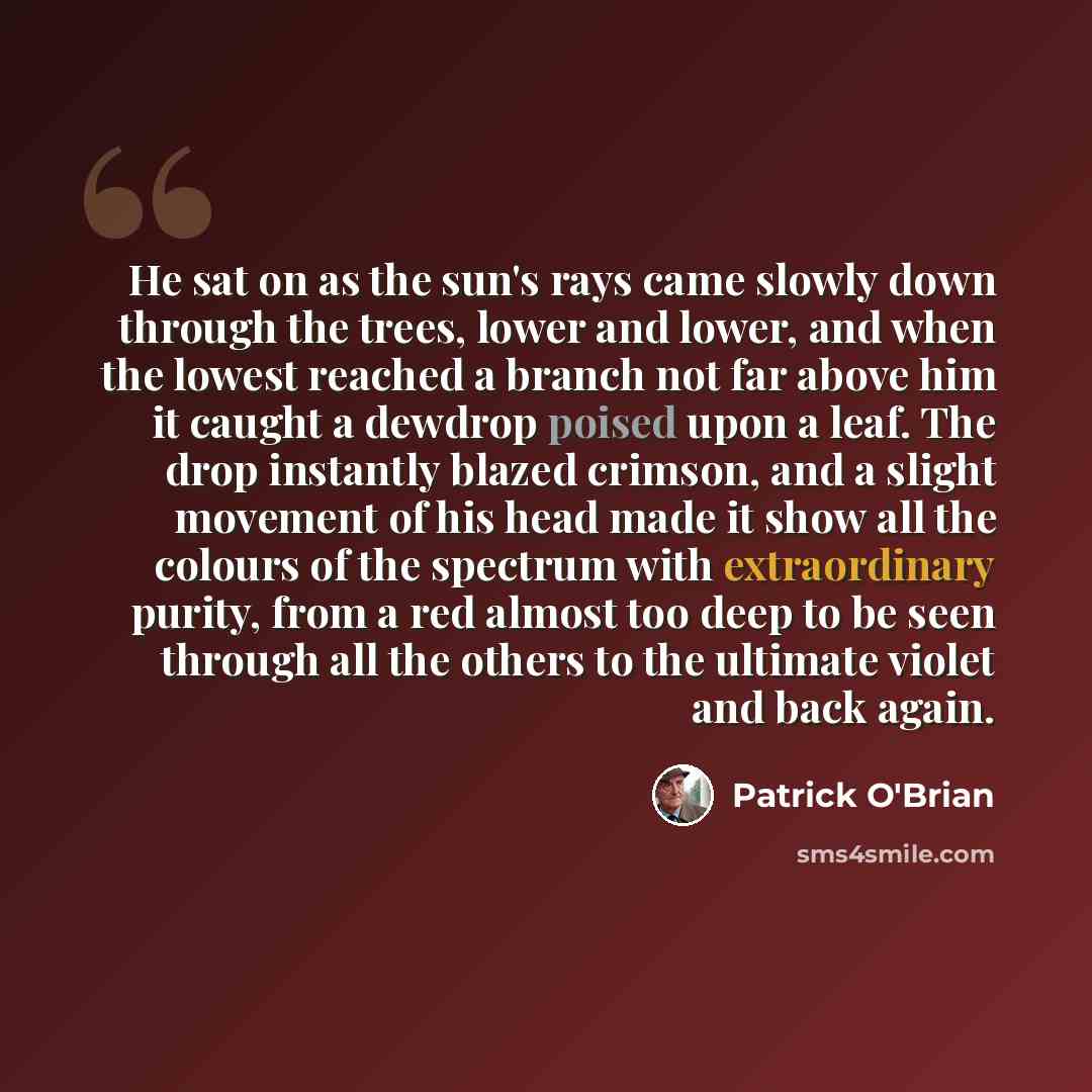 “He sat on as the sun's rays came slowly down through the trees, lower and lower, and when the lowest reached a branch not far above him it caught a dewdrop poised upon a leaf. The drop instantly blazed crimson, and a slight movement of his head made it show all the colours of the spectrum with…” quote by Patrick O'Brian