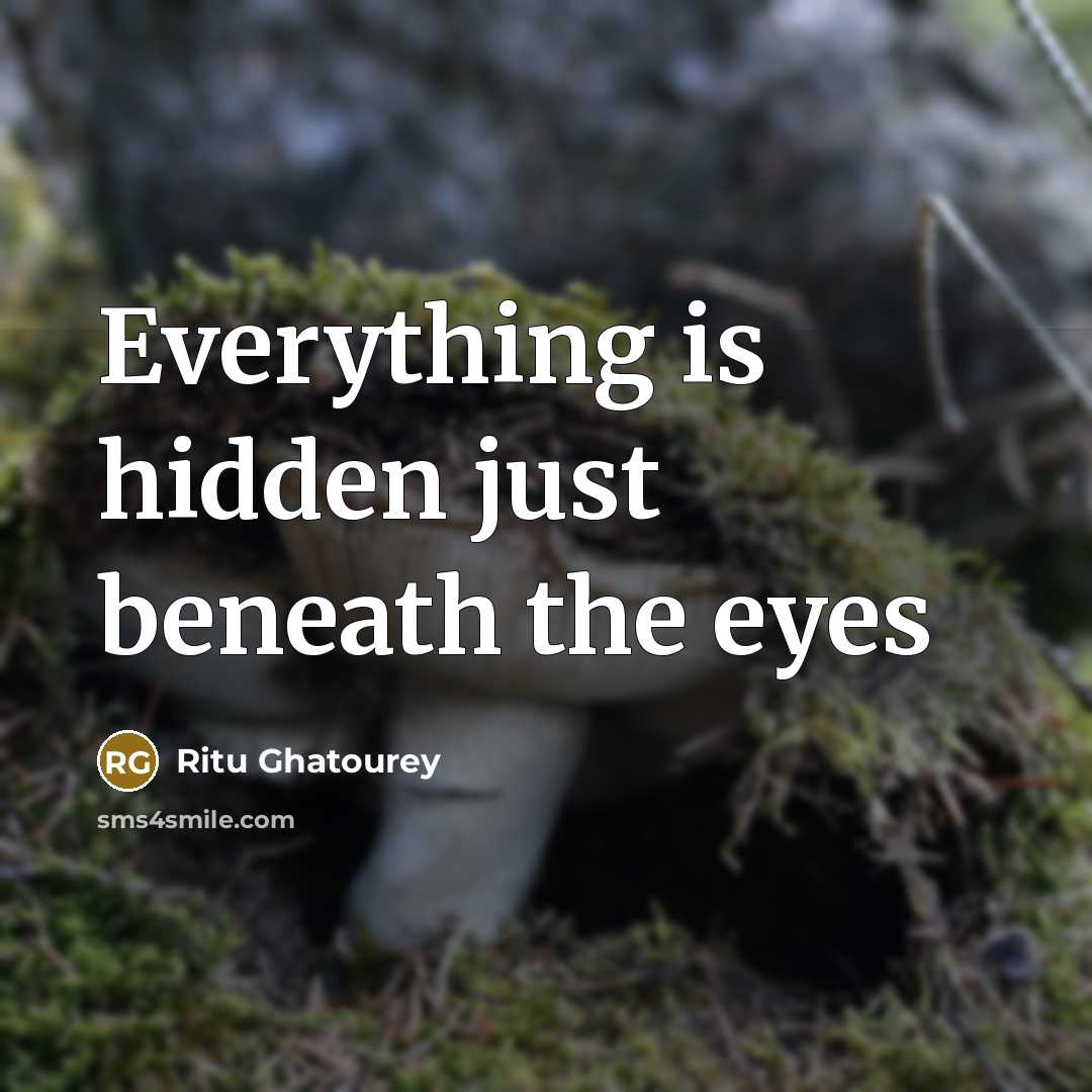 “Everything is hidden just beneath the eyes” quote by Ritu Ghatourey