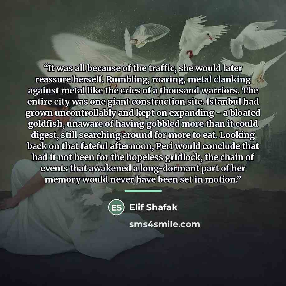 “It was all because of the traffic, she would later reassure herself. Rumbling, roaring, metal clanking against metal like the cries of a thousand warriors. The entire city was one giant construction site. Istanbul had grown uncontrollably and kept on expanding - a bloated goldfish, unaware of…” quote by Elif Shafak